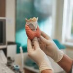 Model anatomic al glandei tiroide folosit în cabinetul medical